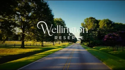 Introducing Wellington Reserve community